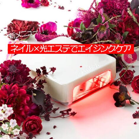 ルビッシュ